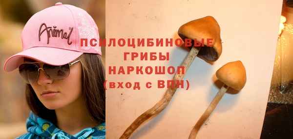 метадон Алзамай