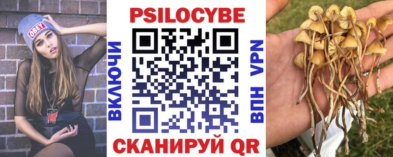 блэк спрут вход  Рыльск  Псилоцибиновые грибы GOLDEN TEACHER 